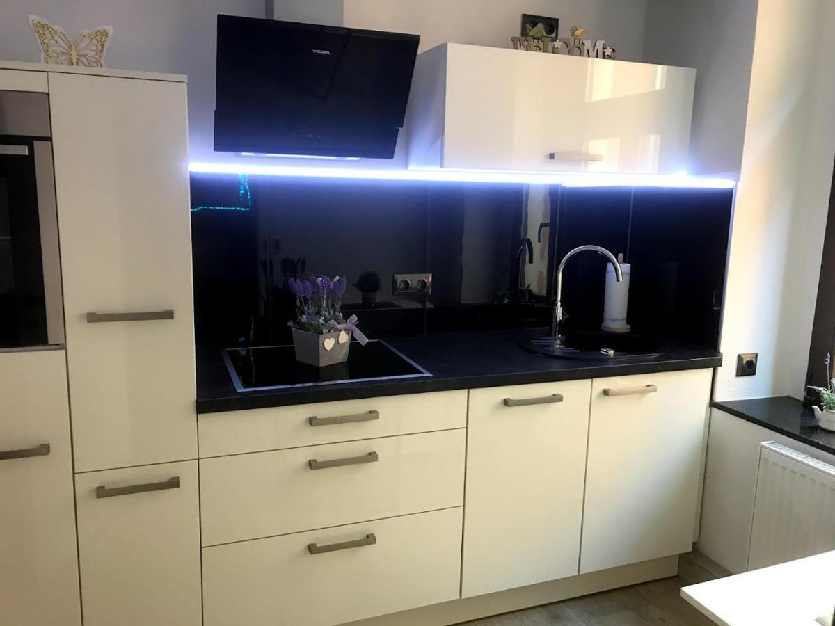Salzhausblick Business Apartments - Zentrale Lage Am Salzhaus - Mwst-Rechnung Verfuegbar Zittau Szoba fotó
